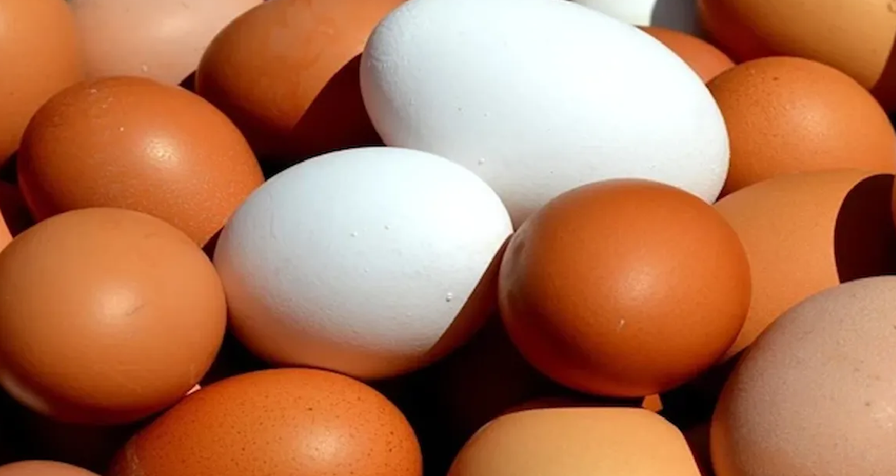 Yumurta yiyenlere çağrı yapıldı Haber gorseli