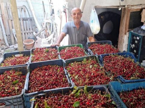 Kilosu 40 tl isci yevmiyesini bile karsilamiyor 6NNhesps