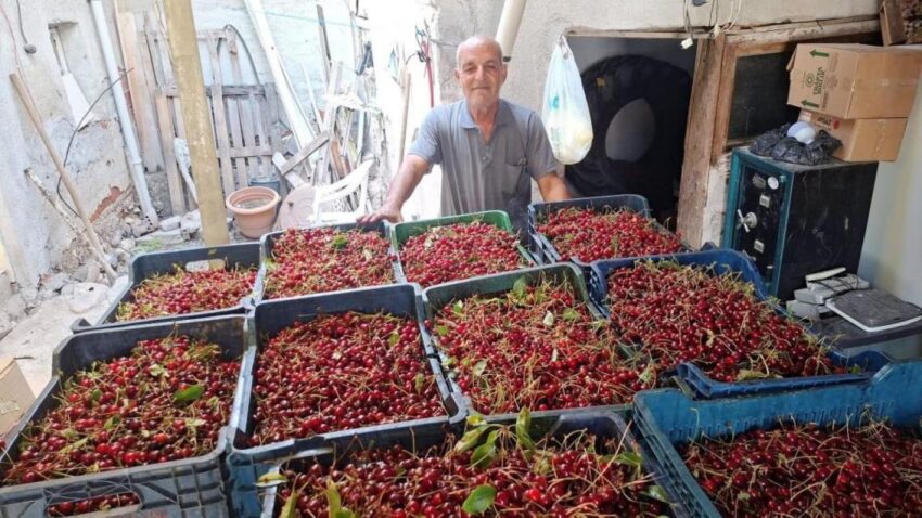 Kilosu 40 tl isci yevmiyesini bile karsilamiyor 6NNhesps